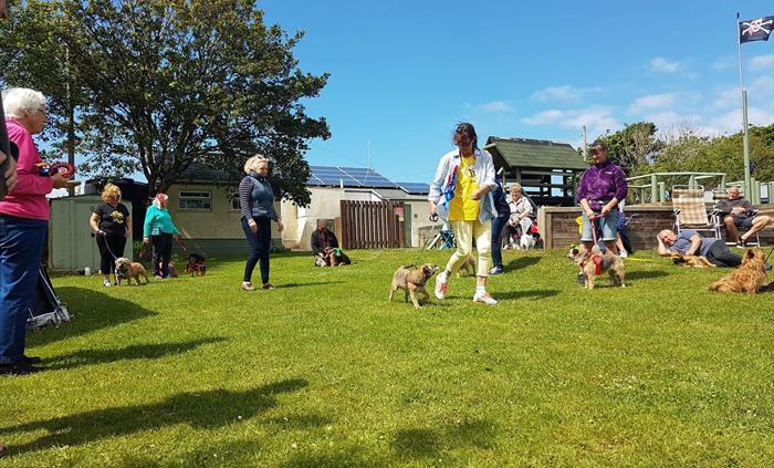 Borderfest Wales dog show